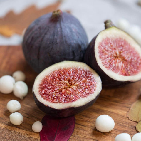 Christmas Festive Fig & Snowberry Wax Melt Snap Bar - Candles Sniffs & Gifts 