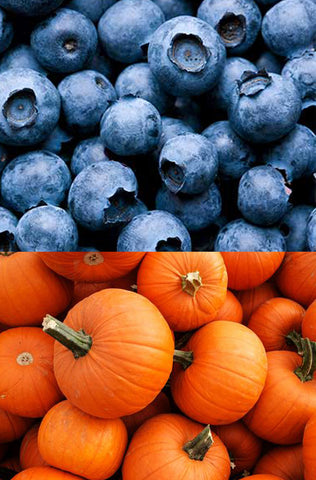 Blueberry & Pumpkin Wickless Jar - Candles Sniffs & Gifts 