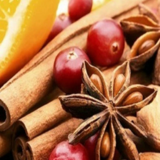 Cranberry & Orange Spice Wax Melt Snap Bar - Candles Sniffs & Gifts 