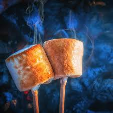 Toasted Marshmallow Wax Melt Snap Bar - Candles Sniffs & Gifts 