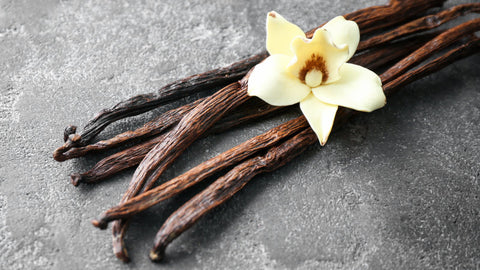 Vanilla Wax Melt Snap Bar - Candles Sniffs & Gifts 
