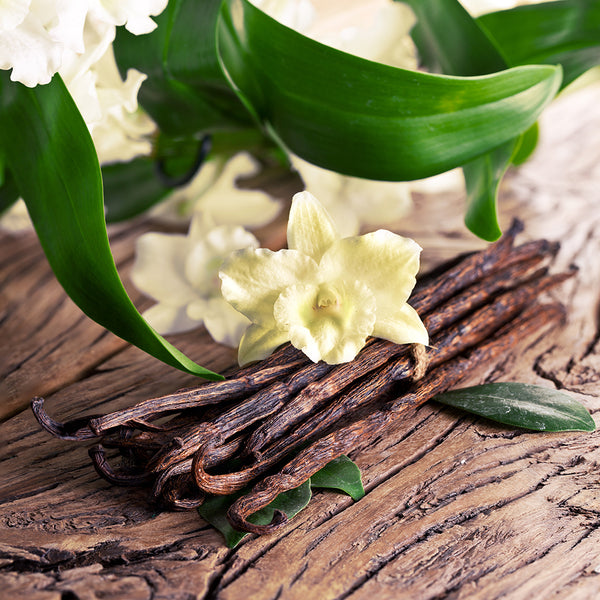 Vanilla & Sandalwood Wax Melt Snap Bar - Candles Sniffs & Gifts 